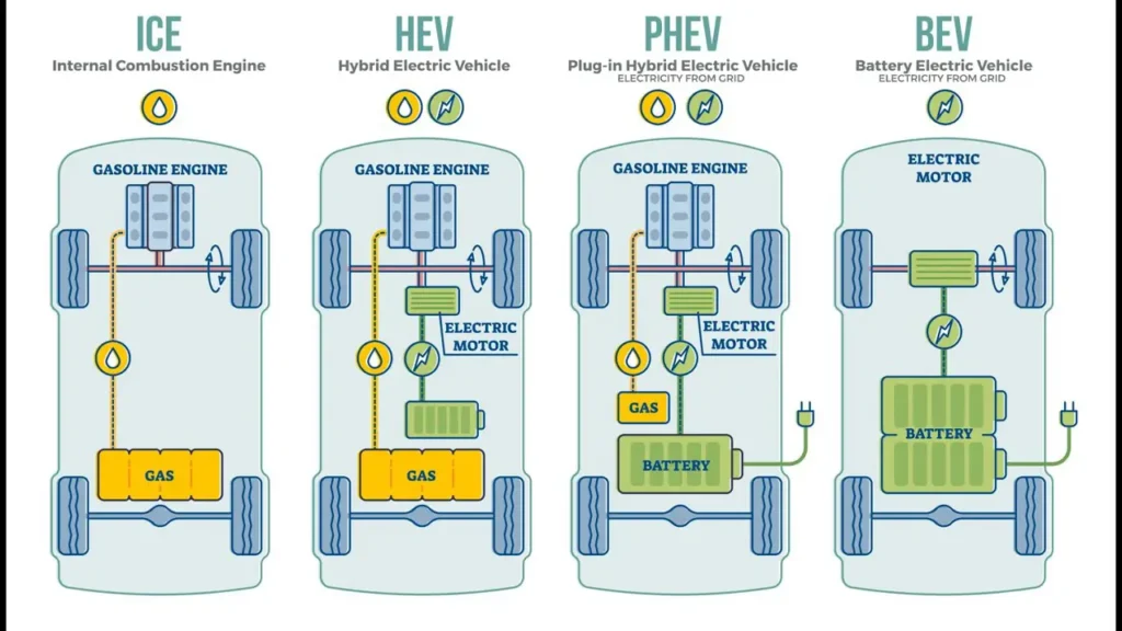 EREV vs BEV popularity 2025